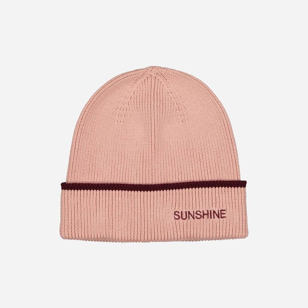 Bonnet Sunshine rose – Image 2