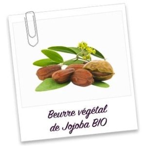Beurre Végétal de Jojoba Bio Extra vierge