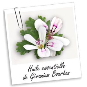 Huile Essentielle: GERANIUM (10ml)