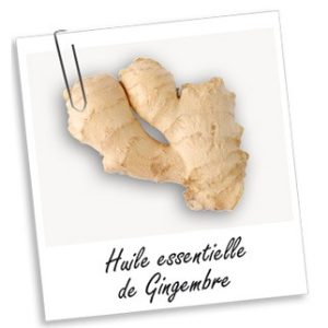 Macérat Huileux d’Amla Bio (30ml)