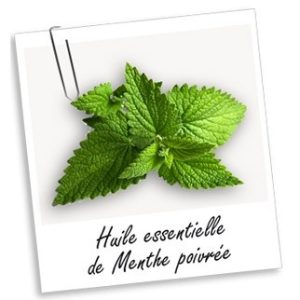 Huile essentielle: Menthe Poivrée (30ml)