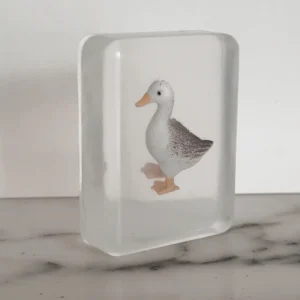 Savon artisanal Canard 🪿