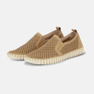 Chaussures Confort Homme - Latte