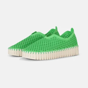 Tulip Chaussures Plateforme - Bright Green