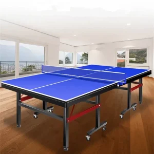 Table Ping Pong