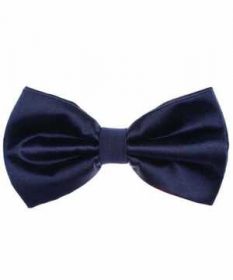 Nœud de Papillon Bleu pour Homme